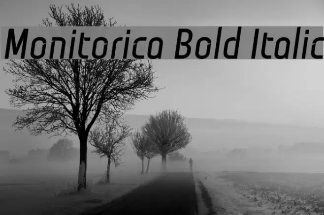 Monitorica Bold Italic Font examples