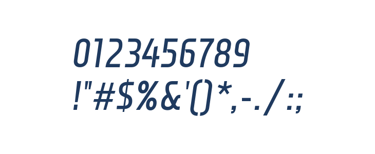 Monitorica-BoldItalic Other Characters