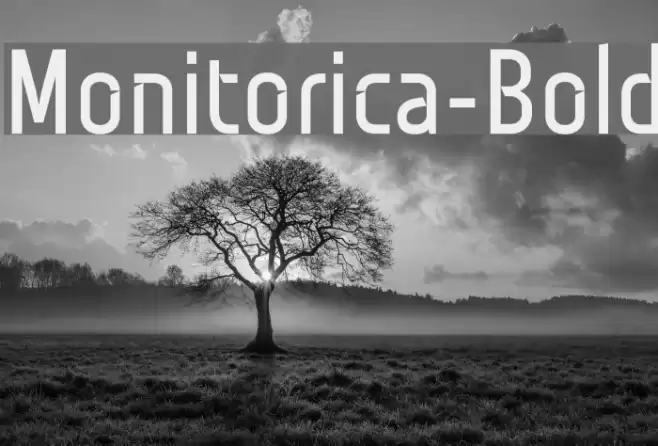 Monitorica-Bold Font examples