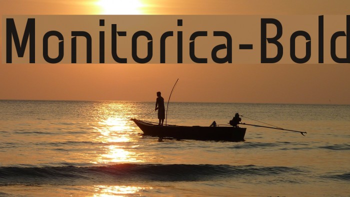 Monitorica-Bold Example 2