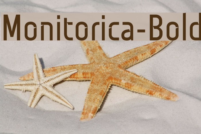 Monitorica-Bold Example 3