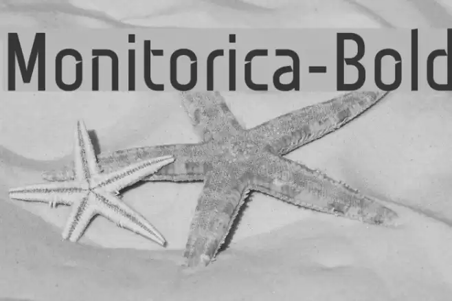 Monitorica-Bold Font examples