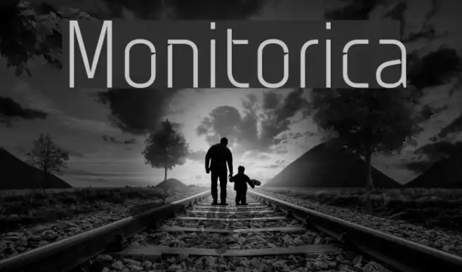 Monitorica Example 1