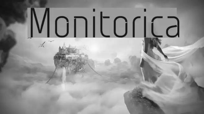 Monitorica Example 2