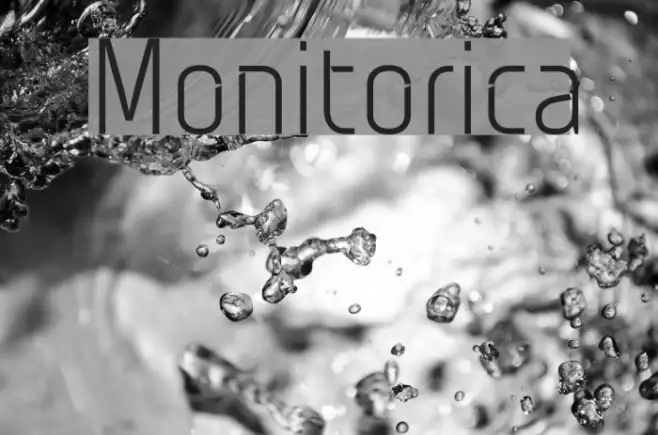 Monitorica Example 3