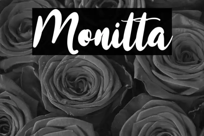 Monitta Example 1