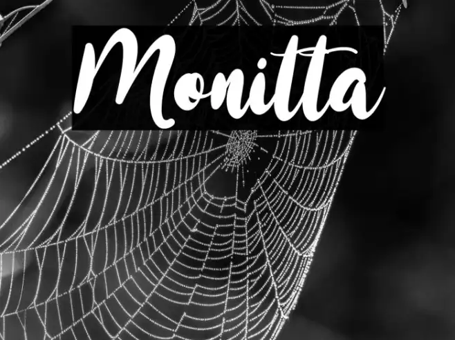 Monitta Example 3