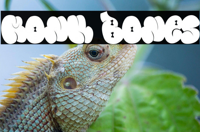 Monk Bones Example 1