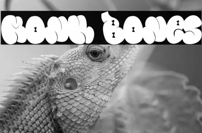 Monk Bones Font examples