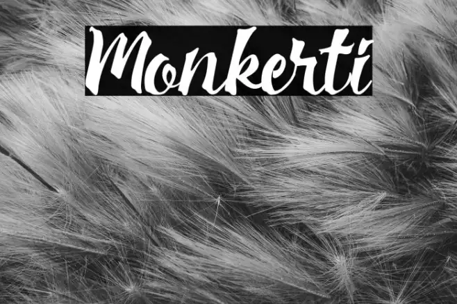 Monkerti Example 1