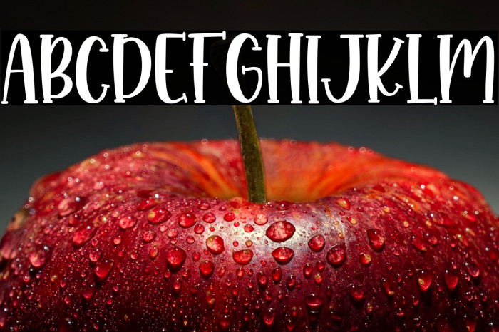 Monkey Boots Example 1