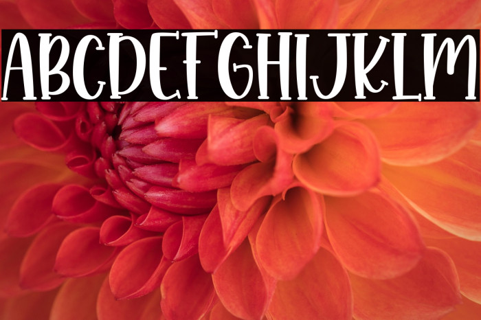 Monkey Boots Example 2