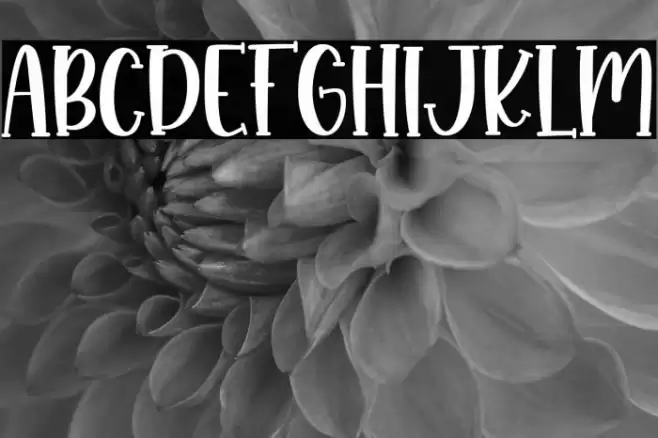 Monkey Boots Font examples