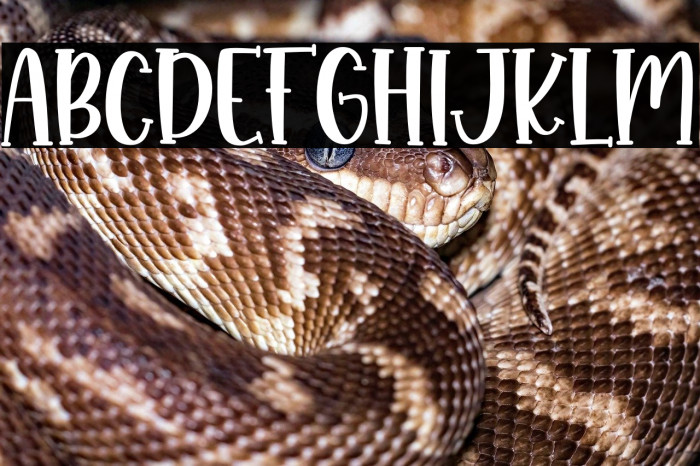 Monkey Boots Example 1