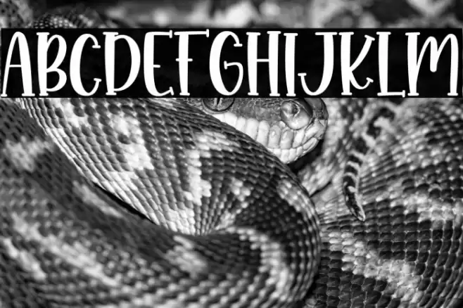 Monkey Boots Font examples