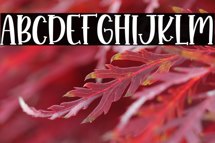 Monkey Boots Example 3