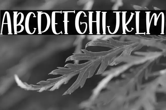 Monkey Boots Font examples