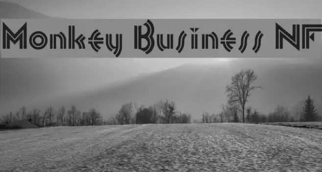 Monkey Business NF Font examples