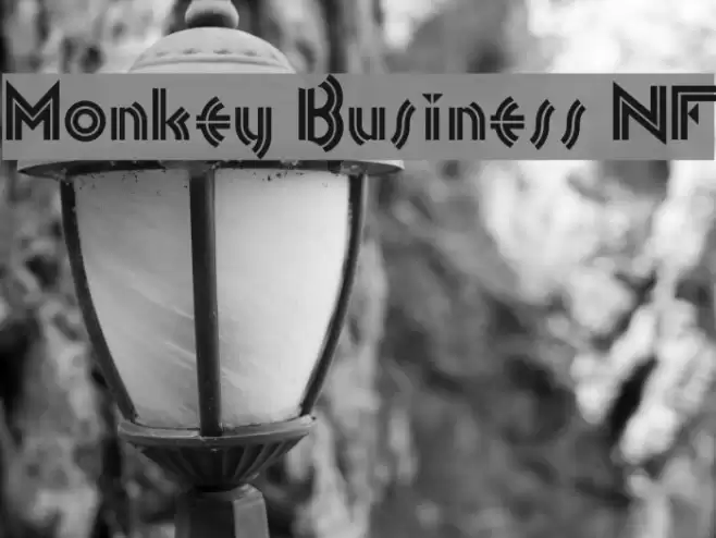Monkey Business NF Font examples