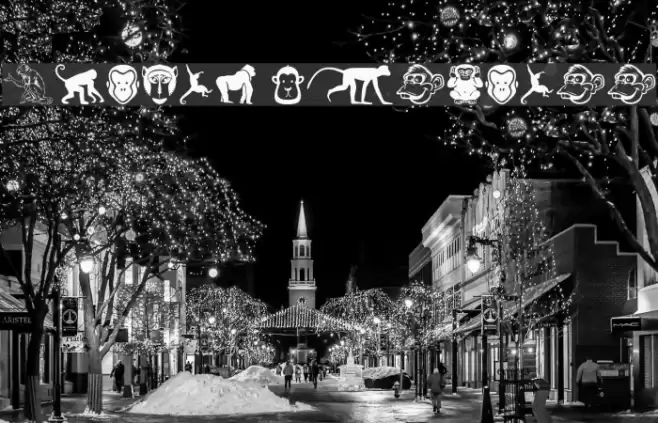 Monkey Business Font examples