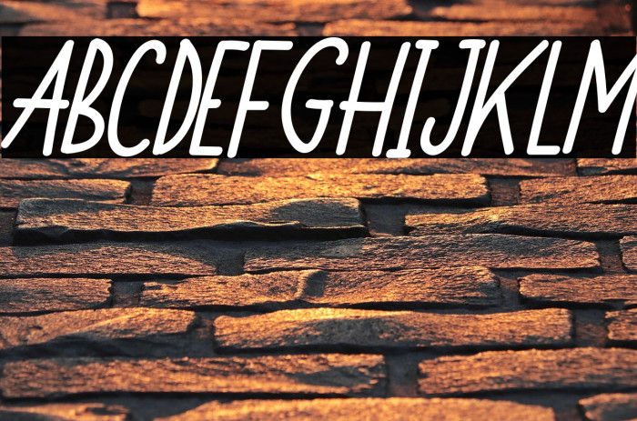 Monkey Funny Italic Example 1