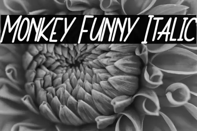 Monkey Funny Italic Font examples