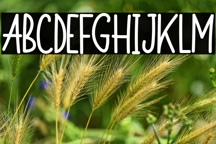 Monkey Funny Example 2