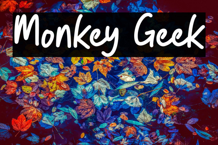 Monkey Geek Example 1