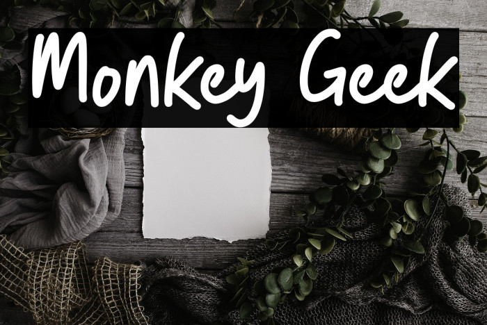 Monkey Geek Example 2
