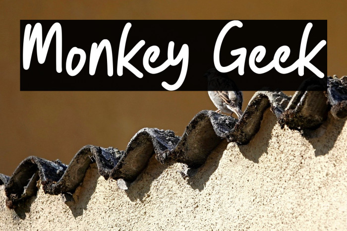 Monkey Geek Example 3