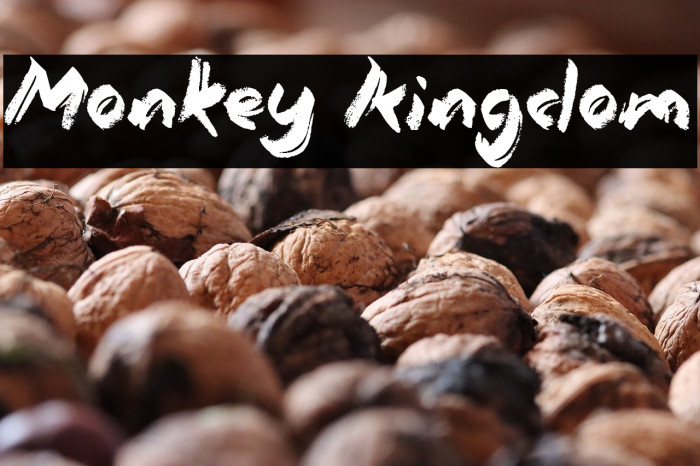 Monkey Kingdom Example 2