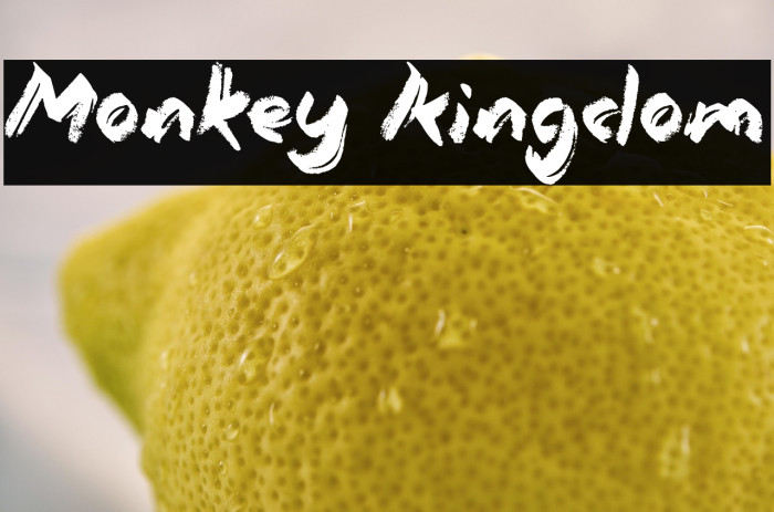 Monkey Kingdom Example 3