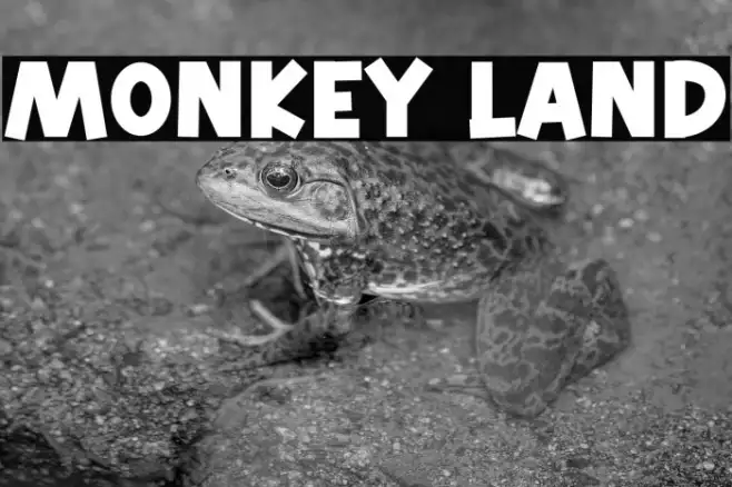 Monkey Land Example 3