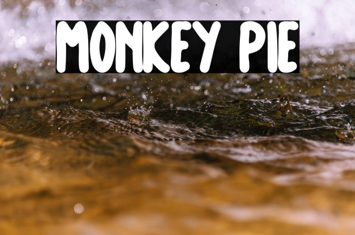 Monkey Pie Example 1
