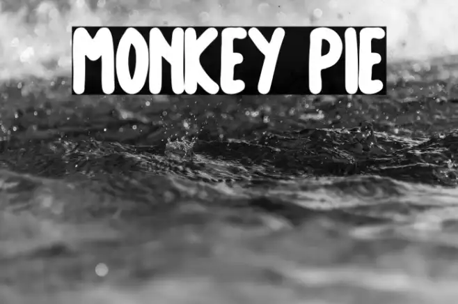 Monkey Pie Example 1