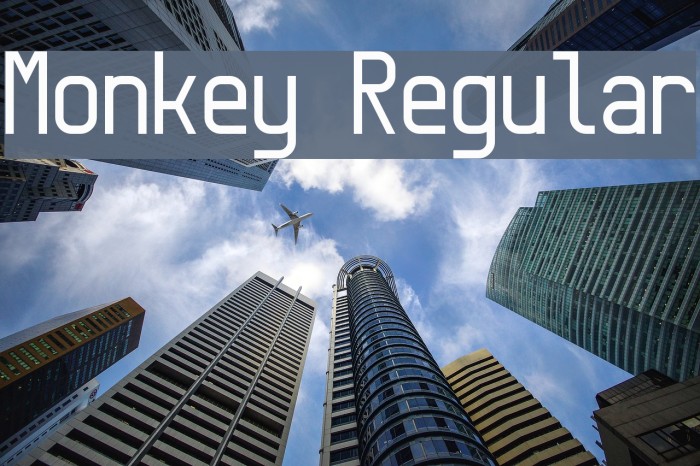 Monkey Regular Font examples