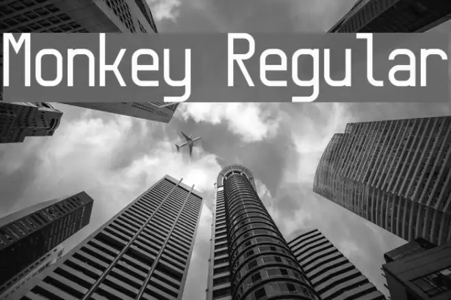 Monkey Regular Example 1