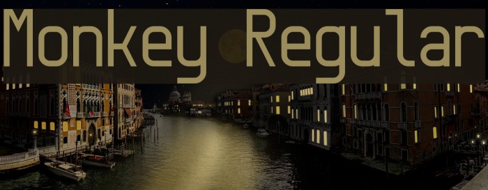 Monkey Regular Font examples