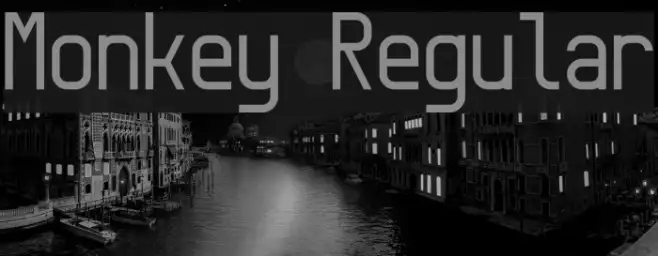 Monkey Regular Example 2