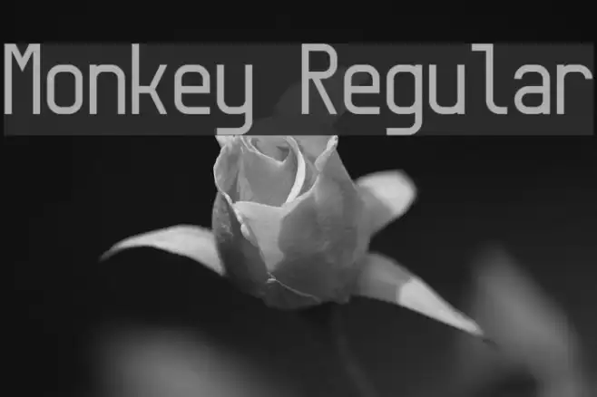 Monkey Regular Example 3