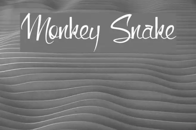 Monkey Snake Font examples
