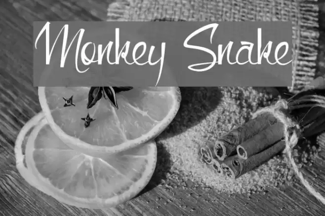 Monkey Snake Font examples