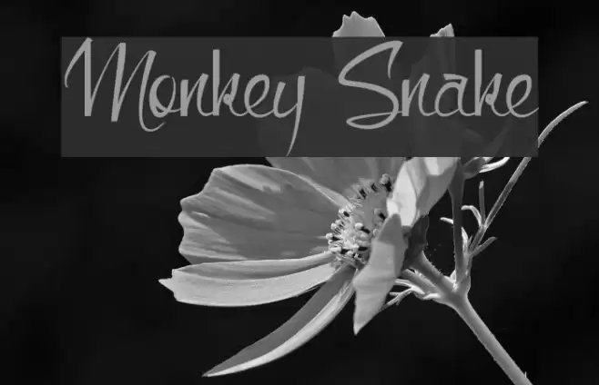 Monkey Snake Font examples