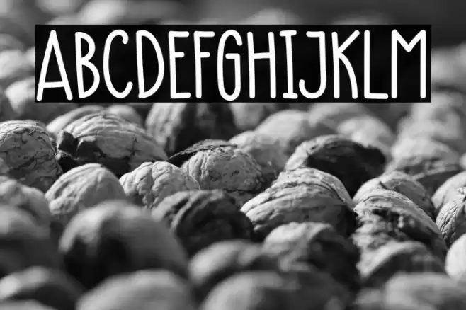 Monkey Font examples