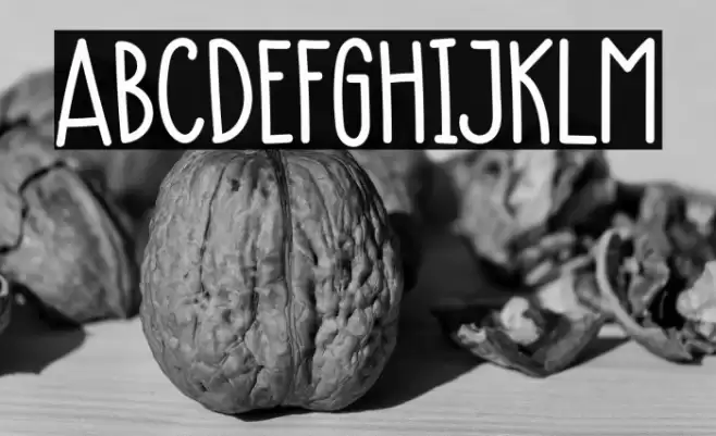 Monkey Font examples