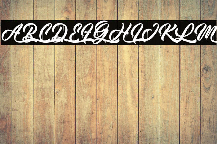 MonkeyAct-PersonalUse Example 3