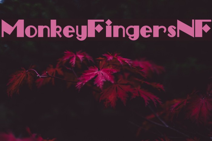 MonkeyFingersNF Font examples