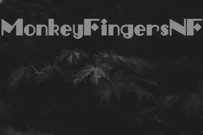 MonkeyFingersNF Example 1