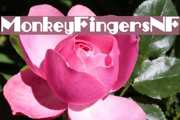 MonkeyFingersNF Font examples