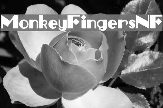 MonkeyFingersNF Example 2